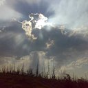 ���� Tadeusz, �������, 60 ��� - ��������� 17 ������ 2024 � ������ ���� ����������