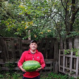 ������, 47 ���, ������������