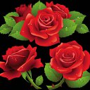 ���� ����� ��, ������, 42 ���� - ��������� 30 ������ 2025 � ������ ���� ����������