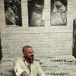 ���� ������, �������-�����, 49 ��� - ��������� 18 ������� 2026