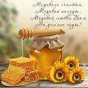 ���� ����, ����������� - ��������� 14 ������� 2025 � ������ ������ ��������