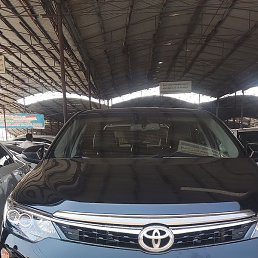 ����, ������, 38 ���