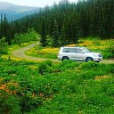 ���� ������, ������ - ��������� 24 ������� 2025 � ������ ���� ����������