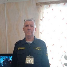 , 61 , 