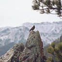 ���� ��������, ����-���, 42 ���� - ��������� 8 ��� 2025 � ������ ������ ��������