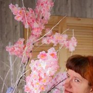 �������, 37 ���, �����������