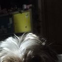 ���� �������, ������ - ��������� 3 ������� 2026 � ������ ���� ����������