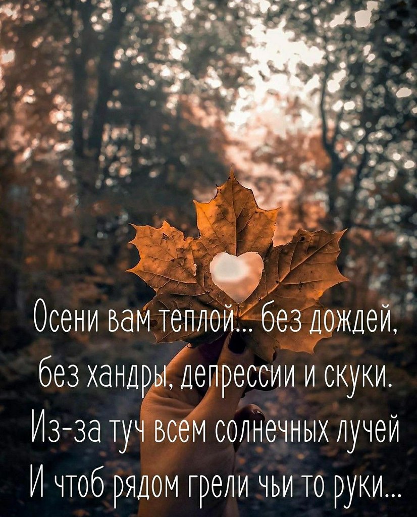   ,    . - 11  2025  14:24