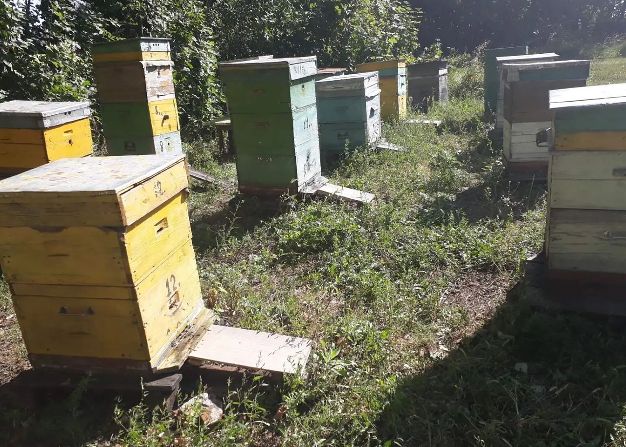 �������� ������ - 8 ���� 2025 � 21:00