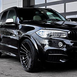 �����, �����-���������, 37 ���