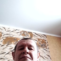 ������, 58 ���, ���������