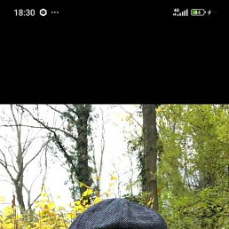 , 55, 