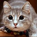 ���� ������, �����, 71 ��� - ��������� 31 ���� 2024 � ������ ������ ��������