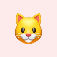 �����, 45 ���, ����������