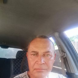 , 54 , 