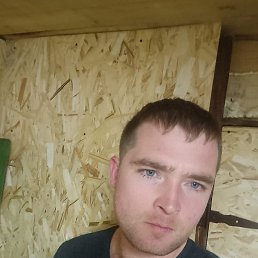 �������, �������, 36 ���