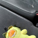 ���� �������, ������, 40 ��� - ��������� 17 ������� 2026 � ������ ���� ����������