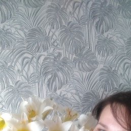 ���������, �����������, 46 ���