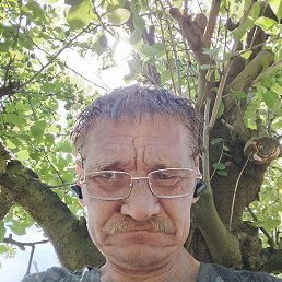 , 49 , 