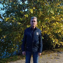 ���������, 54 ����, ��������