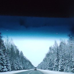 �����, �������, 29 ���