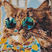 ���������, 49 ���, ������