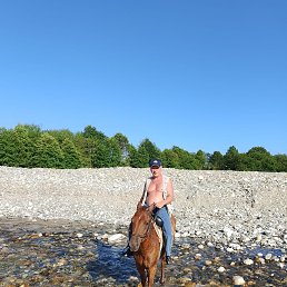 ������, 52 ����, ������