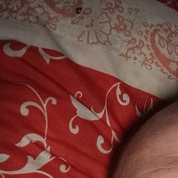 �����, ������, 43 ����