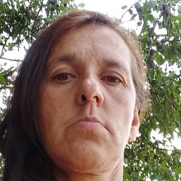 ������, ������������, 45 ���