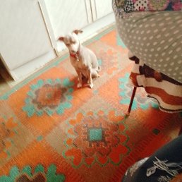 ������, ����, 40 ���