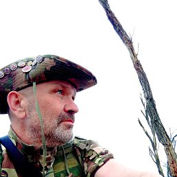 ����, ������, 55 ���