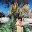 ���� �������, ���������, 56 ��� - ��������� 14 ������ 2025 � ������ ���� ����������