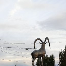 , 39 , 