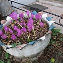 ���� �����, ����������� - ��������� 12 ������� 2024 � ������ ���� ����������