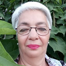 �����, ������, 67 ���