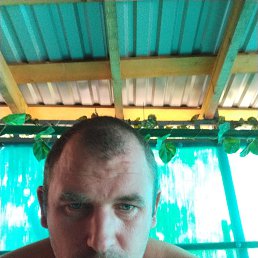 , 30, 