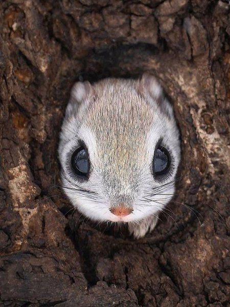  :  -     .    ... - 2