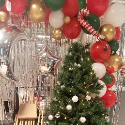 ����������, ������, 41 ���