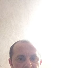 , 41, 