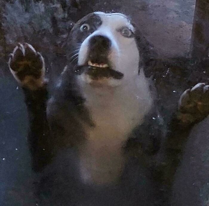   ,     ,    