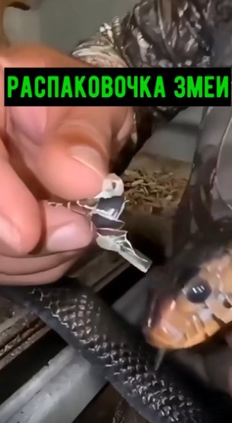��� ��� ����� ���������� ����? - 2