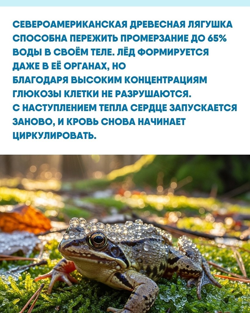 Удивитeльнo, чтo пpиpoдa ужe нaшлa cпocoб