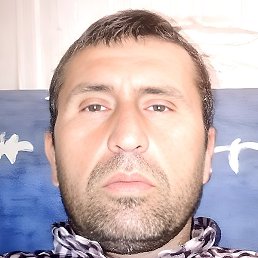 �����, ���������, 41 ���