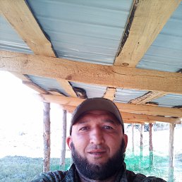 , 35, 