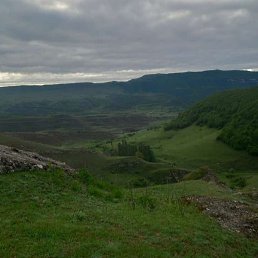 ���, ���������, 41 ���