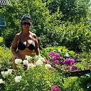  , - -  27  2024   ߻