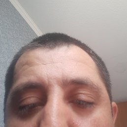 , 37, 