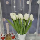 ���� @Ll@, ������, 60 ��� - ��������� 17 ������� 2024 � ������ ������ ��������