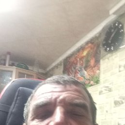 , 51 , 