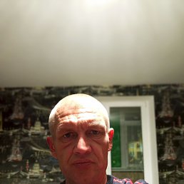 , 41, 
